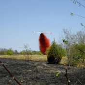 Profile Picture of David Hildebrand (@ddhildebrand) on Youtube