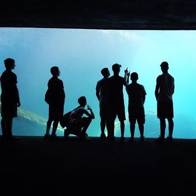 Profile Picture of Sean McCreery (@NarwhalsIsLyfe) on Twitter