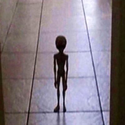 Profile Picture of Manuel (@toby_hater420) on Twitter