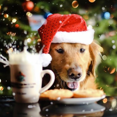 Profile Picture of Catherine Knox (@CatKnox745) on Twitter