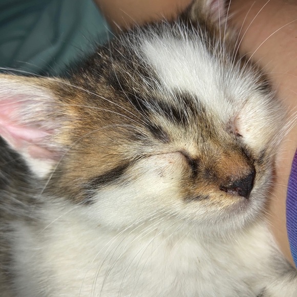 Profile Picture of Ashlynn Bennett (@ash22808) on Poshmark