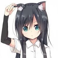 Profile Picture of Luis Hayes (@LuisHay08451551) on Twitter