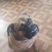 Profile Picture of Mary Jo Potter (@maryjo.potter.5) on Facebook