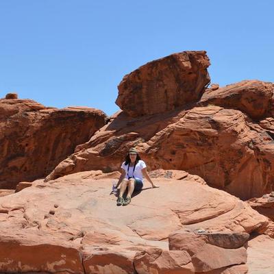 Profile Picture of Michelle Bradley (@Roadlibrarian) on Twitter