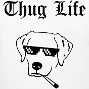 Profile Picture of Robert Lukacs (@robertlukacs3202) on Youtube