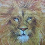 Profile Picture of Michael Chen (@harvester.michael) on Instagram