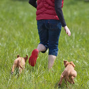 Profile Picture of Tracy Calhoun (@sutterbay) on Youtube