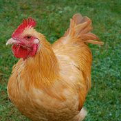 Profile Picture of Benjamin Rowe (@BenjaminRowe-hj8ym) on Youtube