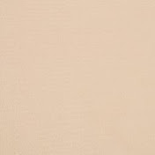 Profile Picture of Brandon Toledo (@brandontoledo6915) on Youtube