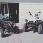 Profile Picture of Alex Bartok (@bartok.alex) on Instagram