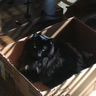 Profile Picture of Micki Chapman (@Micki-Chapman) on Facebook