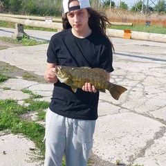 Profile Picture of nicholascicatello (@nicholascicatello) on Tiktok