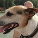 Profile Picture of Phyllis Matheny (@p_matheny) on Pinterest