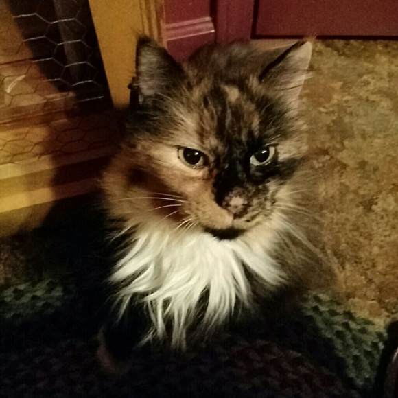 Profile Picture of Joelle Flickinger (@flickyjo) on Poshmark