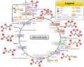 Profile Picture of Citric acid cycleon Wikipedia