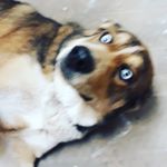 Profile Picture of munchowat (@munchowat) on Instagram