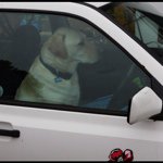 Howard Snow - Instagram Profile Picture of Howard Snow (@howardsnow) on Instagram