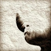 Profile Picture of Lil Marshall Bullock (@lil-marshall-bullock) on Quora