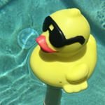 Profile Picture of Ray Whitehead (@raywhitehead) on Instagram