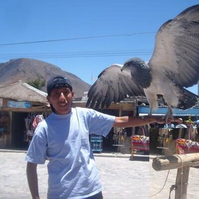 Profile Picture of Robert Pari Neira (@RobertPariNeira) on Twitter