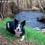 Gary Collingwood - Facebook Profile Picture of Gary Collingwood (@gary.collingwood.923) on Facebook