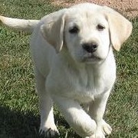 Profile Picture of Cindy Christofferson-catlin (@cindy-christofferson-catlin) on Quora