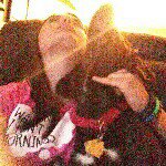 Profile Picture of Haley Reilly (@haley_stromberg_138) on Instagram