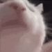 Profile Picture of Carson Hogan (@carsonh1505) on Pinterest