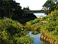 Profile Picture of Fogarty Creek State Recreation Area - Wikipediaon Wikipedia