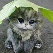 Profile Picture of Angela Pearce (@angelapearce3630) on Youtube