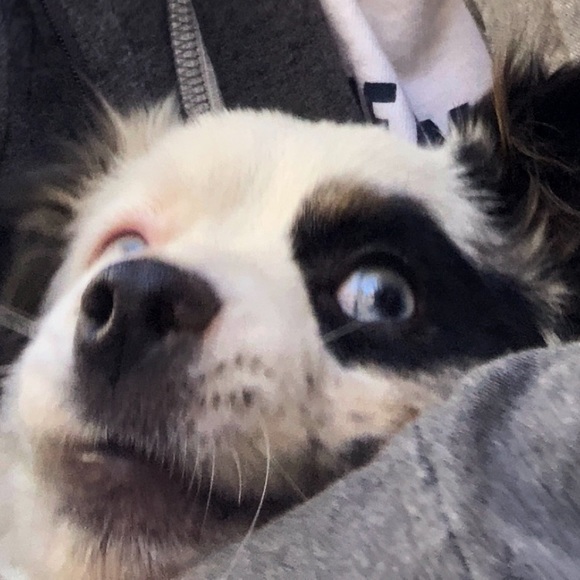 Profile Picture of Kaitlyn Huynh (@kaitlyn_huynh) on Poshmark