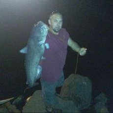 Profile Picture of Bryan Kosier (@bryan_kosier) on Twitter