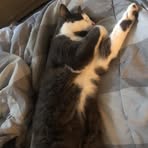 Profile Picture of Darren Slater (@darren.slater.479382) on Facebook