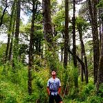 Profile Picture of Daniel Vives Dardel (@danielvivesd) on Instagram