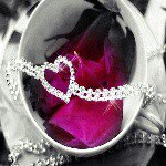 natasha - Instagram Profile Picture of natasha (@natashalbrunetto04) on Instagram