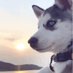 Profile Picture of BinZhao (@BinZhao20) on Twitter