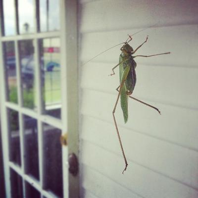 Profile Picture of Brian Hamrick (@impolitelip80) on Twitter