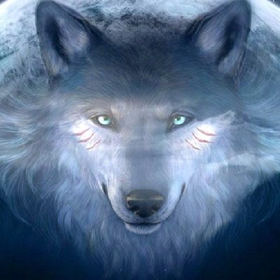 Profile Picture of Owen Shaffer (@Shallowboat8404) on Twitter