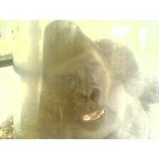 Profile Picture of Luis Nims (@nimbolou) on Myspace