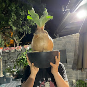 Profile Picture of Wilson Ko (@wilsonko2075) on Youtube