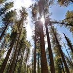 Profile Picture of Jason Sweger (@jason_codemos) on Instagram