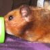 Profile Picture of Piglett Isaac (@piglett.isaac) on Facebook