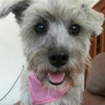 Profile Picture of Astrid kassandra corral corral (@astridkassandracorral) on Instagram