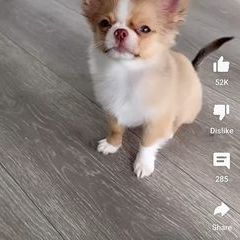 Profile Picture of Rose Sharp (@rose.sharp64) on Tiktok