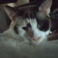 Profile Picture of John Trainer (@john-trainer-11) on Quora