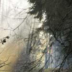 Profile Picture of pothiraj (@pothirajy) on Instagram