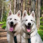 Profile Picture of Bren Dallinga (@brendallinga) on Facebook