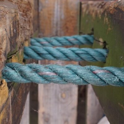 Profile Picture of Daniel Yao (@danielyao618) on Twitter