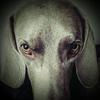 Profile Picture of Sjulia Quirk (@@sjulia161) on Tiktok