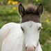 Profile Picture of Jill Harlow (@jill.harlow.7758) on Facebook
